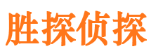 临港胜探私家侦探公司